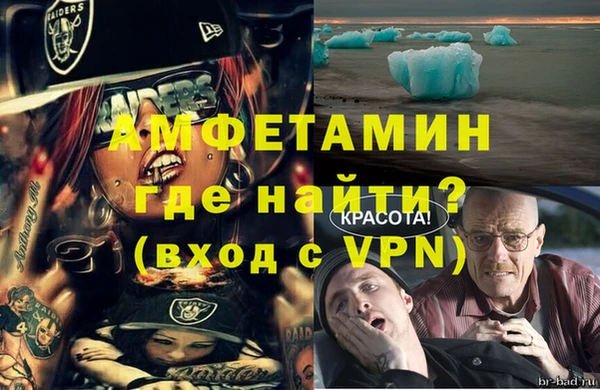 гидра Алексин