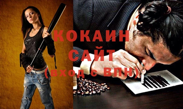 гидра Алексин