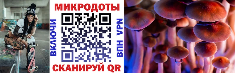 блэк спрут ссылка сколько стоит Глазов Галлюциногенные грибы мухоморы